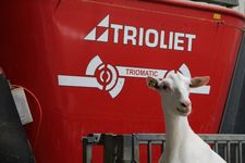 Triomatic T30, Robot d'alimentation