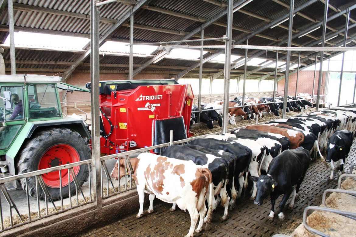 Ce-mélangeur-autochargeuse-est-un-chariot-mélangeur-compact-et-économique.