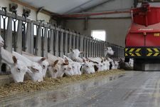 Triomatic T30, Cuisine d'alimentation