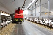 Triomatic T30, Robot d'alimentation