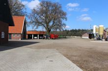 ferme-cour-vaches-laitiers