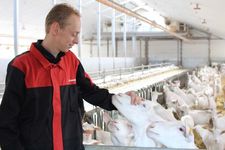 Triomatic T30, Robot d'alimentation